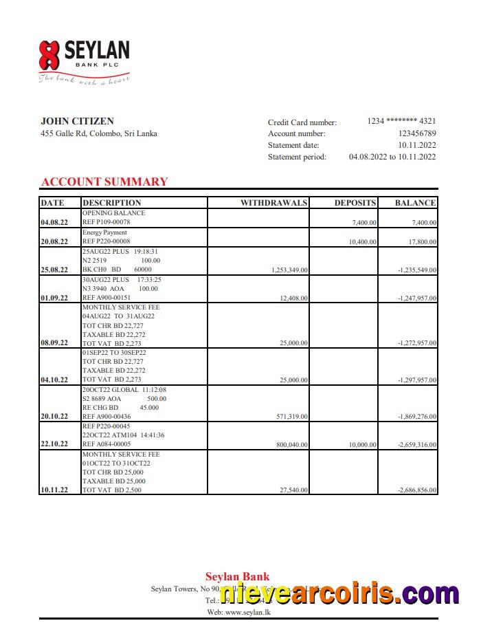 Sri Lanka Seylan bank statement xls